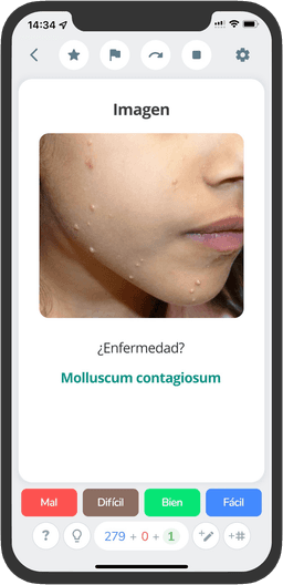 FlashMed en Móvil
